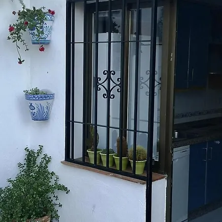 Andaluza *